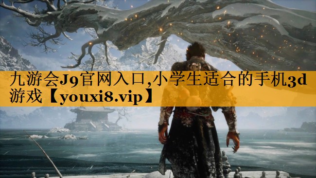 九游会J9官网入口,小学生适合的手机3d游戏
