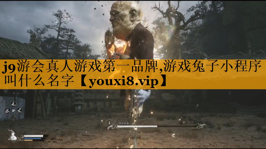 j9游会真人游戏第一品牌,游戏兔子小程序叫什么名字